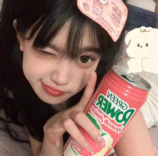 狐狸女士第二季